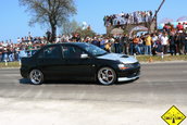 Liniute Mare 2007