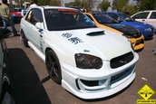 Liniute Mare 2007