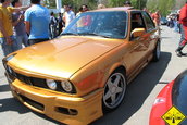 Liniute Mare 2007