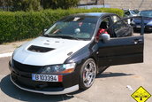 Liniute Mare 2007