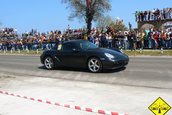 Liniute Mare 2007