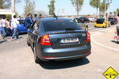 Liniute Mare 2007