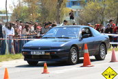 Liniute Mare 2007