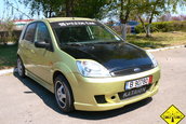 Liniute Mare 2007