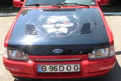 Liniute Mare 2007
