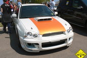 Liniute Mare 2007