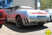 Liniute Mare 2007