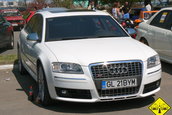 Liniute Mare 2007