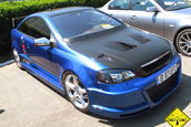 Liniute Mare 2007
