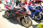 Liniute Mare 2007