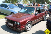 Liniute Mare 2007