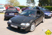 Liniute Mare 2007