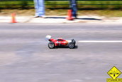 Liniute Mare 2007