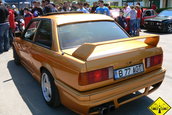 Liniute Mare 2007