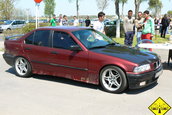Liniute Mare 2007