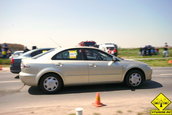Liniute Mare 2007