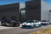 Livrari Bugatti Divo