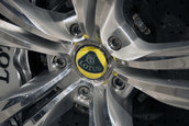 Lotus Elite - Poze Live