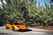 LP670-4 Super Veloce si Bland Webb