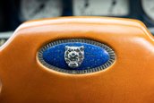 Lynx Designo Di Paolo Gucci