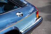 Lynx Designo Di Paolo Gucci