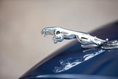 Lynx Designo Di Paolo Gucci