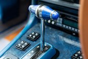 Lynx Designo Di Paolo Gucci
