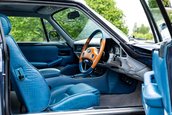 Lynx Designo Di Paolo Gucci