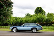 Lynx Designo Di Paolo Gucci