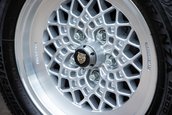 Lynx Designo Di Paolo Gucci
