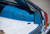 Lynx Designo Di Paolo Gucci