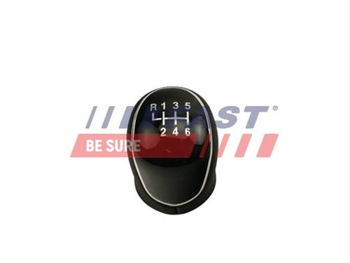 Maciulie Maneta Schimbator viteze. Fast Ford FT73232