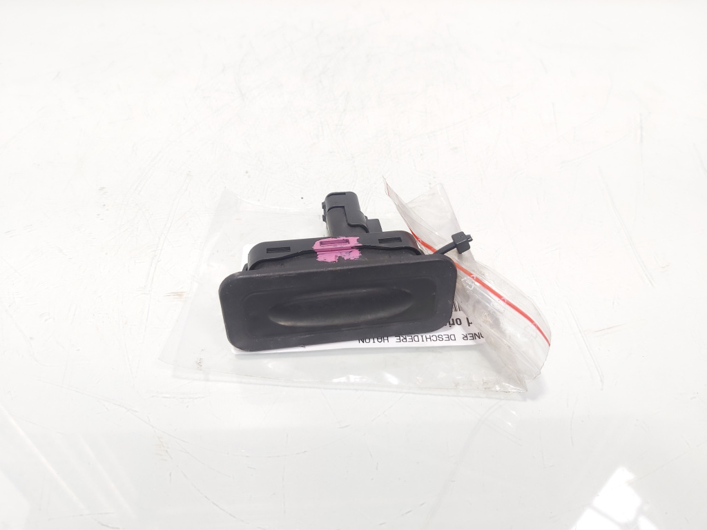 Maner deschidere haion, cod 8200076256, Renault Grand Scenic 3 (id:623275)