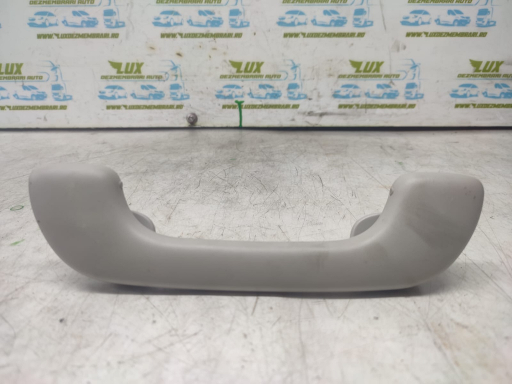 Maner interior plafon Renault Zoe [2012 - 2020] 5AQ601