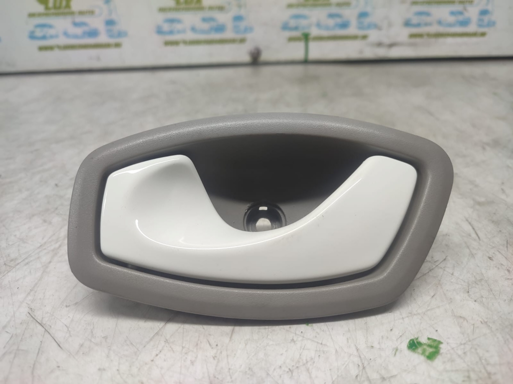 Maner interior stanga fata 806700006r Renault Zoe [2012 - 2020] 5AQ601
