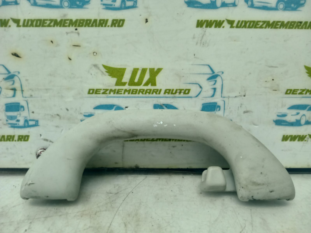 Maner plafon 1k0857607n Volkswagen VW Tiguan 5N [2007 - 2011]