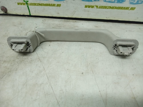 Maner plafon 739409053r Dacia Logan 3 [2020 - 2024]
