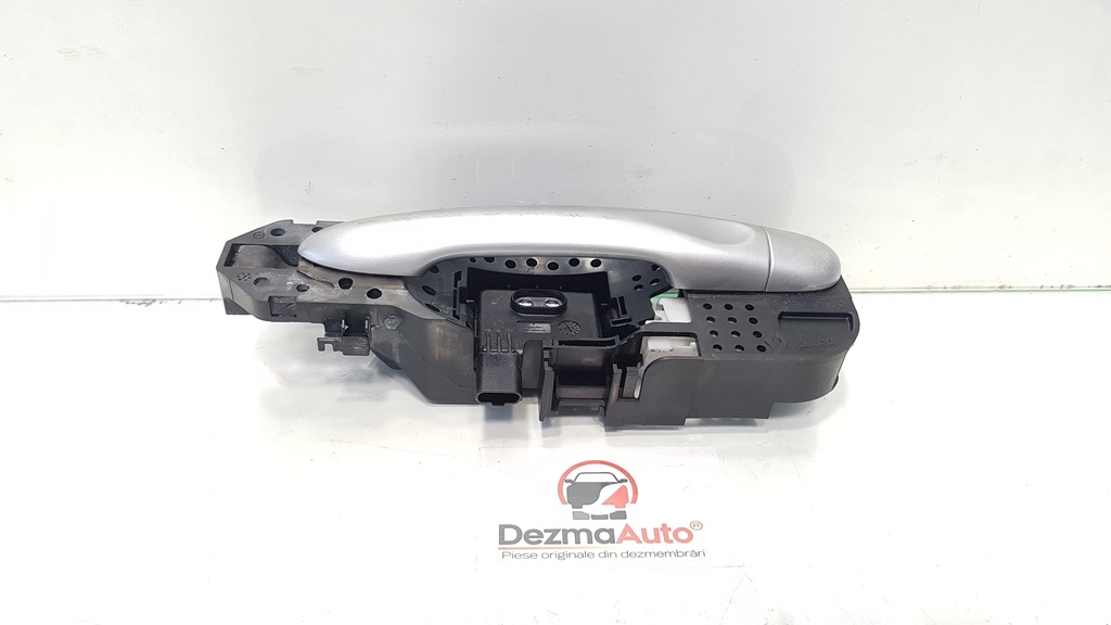 Maner stanga spate, Renault Scenic 3, cod 806070033R (id:380123)
