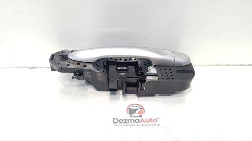 Maner stanga spate, Renault Scenic 3, cod 806070033R (id:380123)