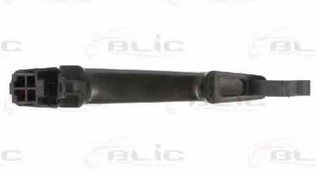 maner usa CITROËN C4 Picasso I UD BLIC 6010-07-039402P