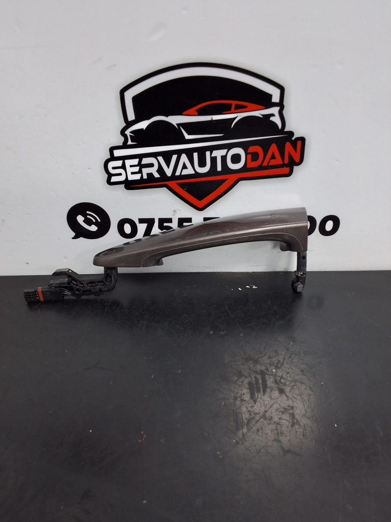 Maner usa fata stanga BMW X3 (2010-2017) [F25] 2.0 Motorina 2012, 7259423