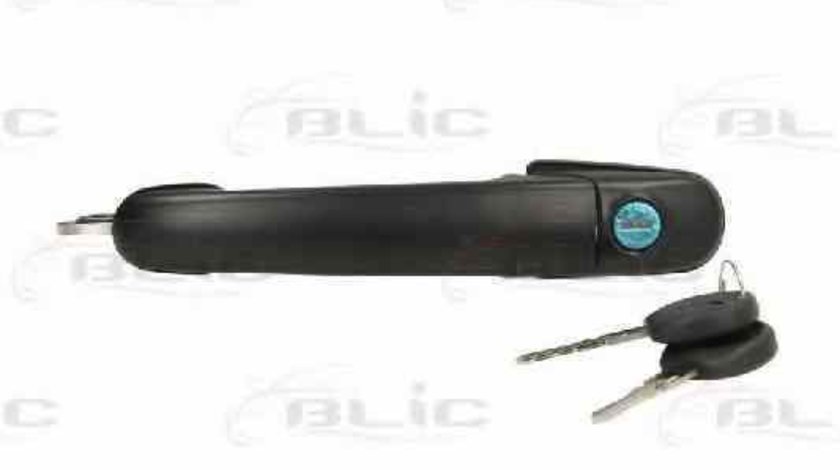 Maner usa SEAT CORDOBA (6K2) BLIC 6010-01-009401P