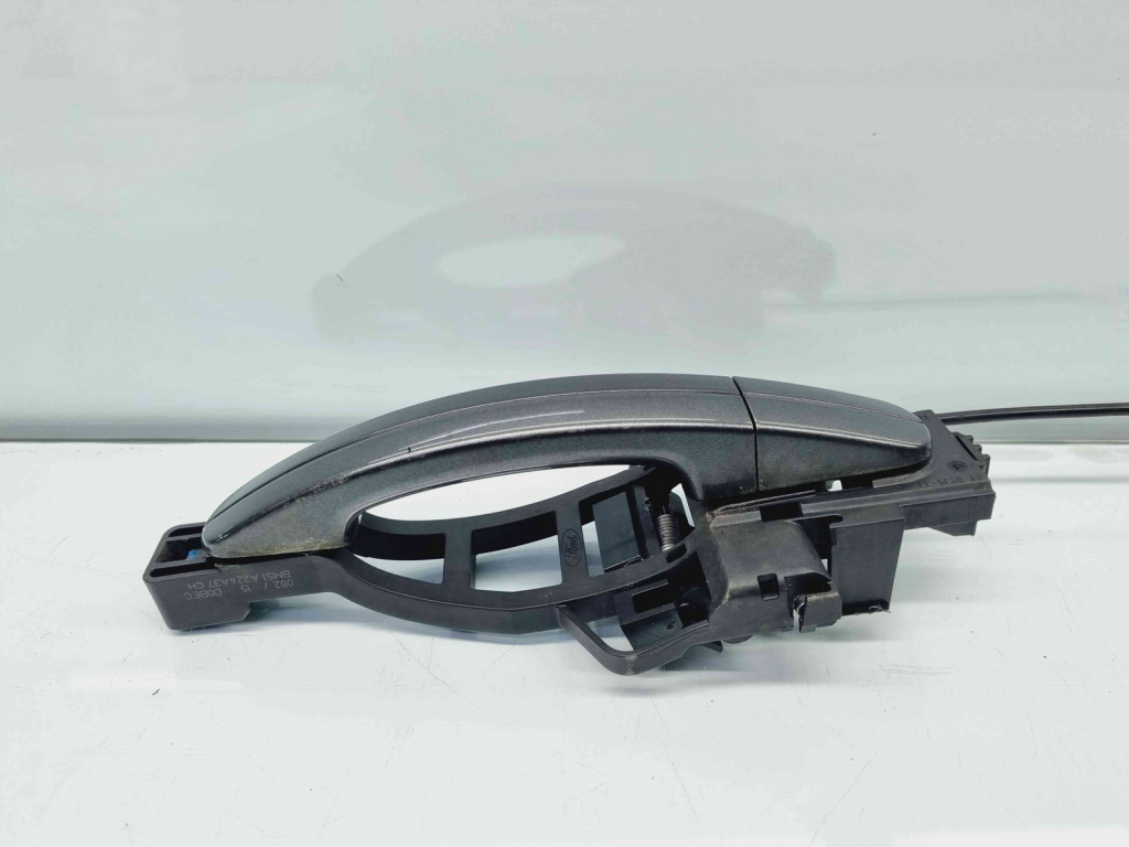 Maner usa stanga spate Ford Focus 3 Facelift [Fabr 2014-2019] Magnetic