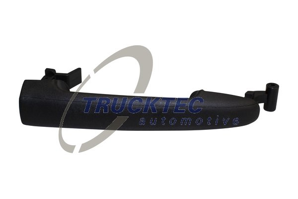 Maner usa Usa spate vehicul (0254011 TRU) MERCEDES-BENZ,VW