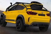 Manhart MHX6 Dirt