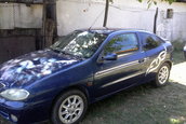 manolachi