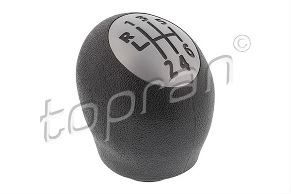 Manson Schimbator Hans Pries Topran Dacia 702 648