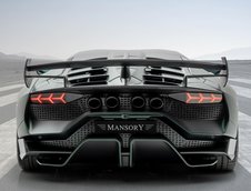 Mansory Cabrera