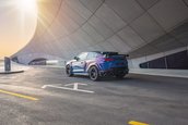 Mansory Venatus Coupe EVO C