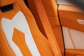 Mansory Venatus